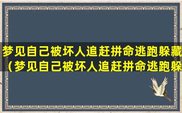 梦见自己被坏人追赶拼命逃跑躲藏（梦见自己被坏人追赶拼命逃跑躲藏,被坏人陷害 周公解梦）